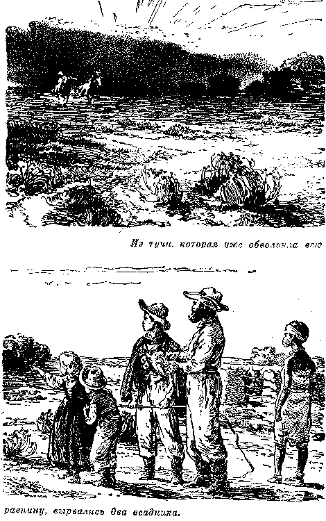 Собрание сочинений, том 4. В дебрях Южной Африки. Юные охотники. Охотники за жирафами. - i_007.png