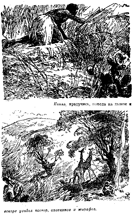 Собрание сочинений, том 4. В дебрях Южной Африки. Юные охотники. Охотники за жирафами. - i_061.png