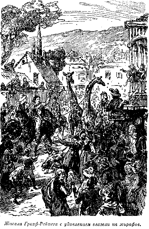 Собрание сочинений, том 4. В дебрях Южной Африки. Юные охотники. Охотники за жирафами. - i_063.png