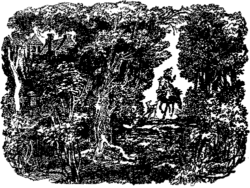 Собрание сочинений, том 5. Белая перчатка. В дебрях Борнео. В поисках белого бизона. - i_006.png