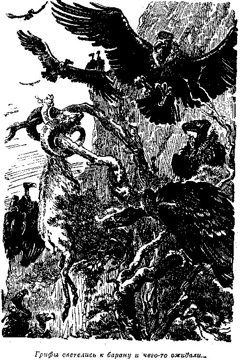 Собрание сочинений, том 5. Белая перчатка. В дебрях Борнео. В поисках белого бизона. - i_051.png