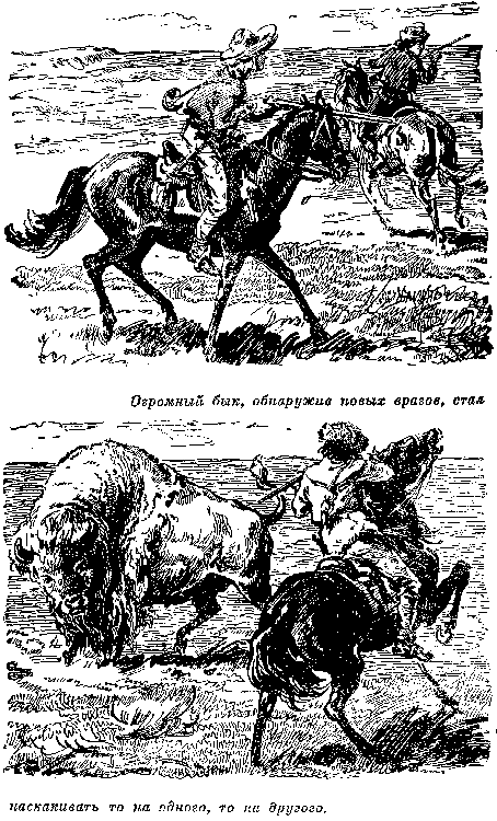 Собрание сочинений, том 5. Белая перчатка. В дебрях Борнео. В поисках белого бизона. - i_052.png