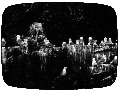 В мире животных 2 - i_007.png