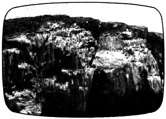 В мире животных 2 - i_010.png