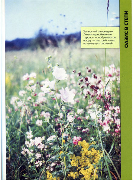 В мире животных 2 - i_028.jpg