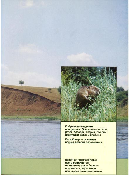 В мире животных 2 - i_030.jpg