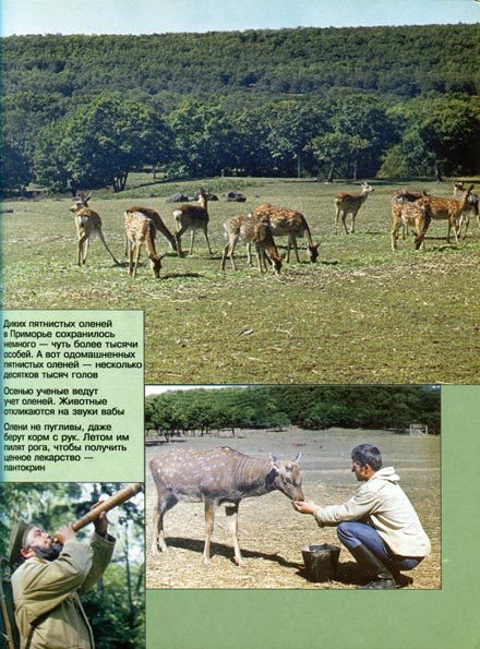 В мире животных 2 - i_034.jpg