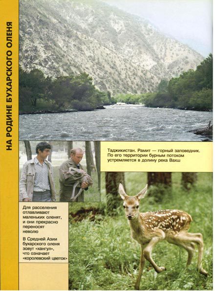 В мире животных 2 - i_037.jpg