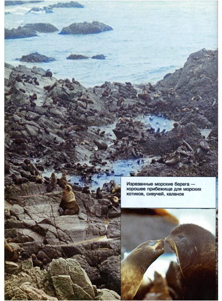 В мире животных 2 - i_045.jpg