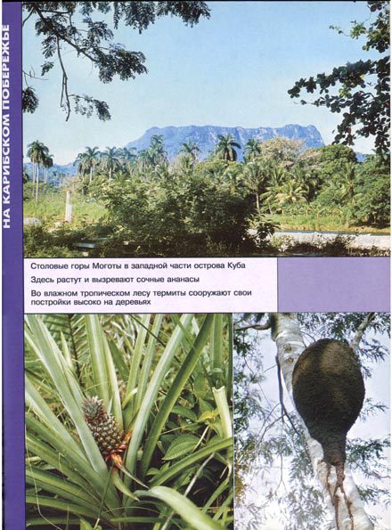 В мире животных 2 - i_048.jpg