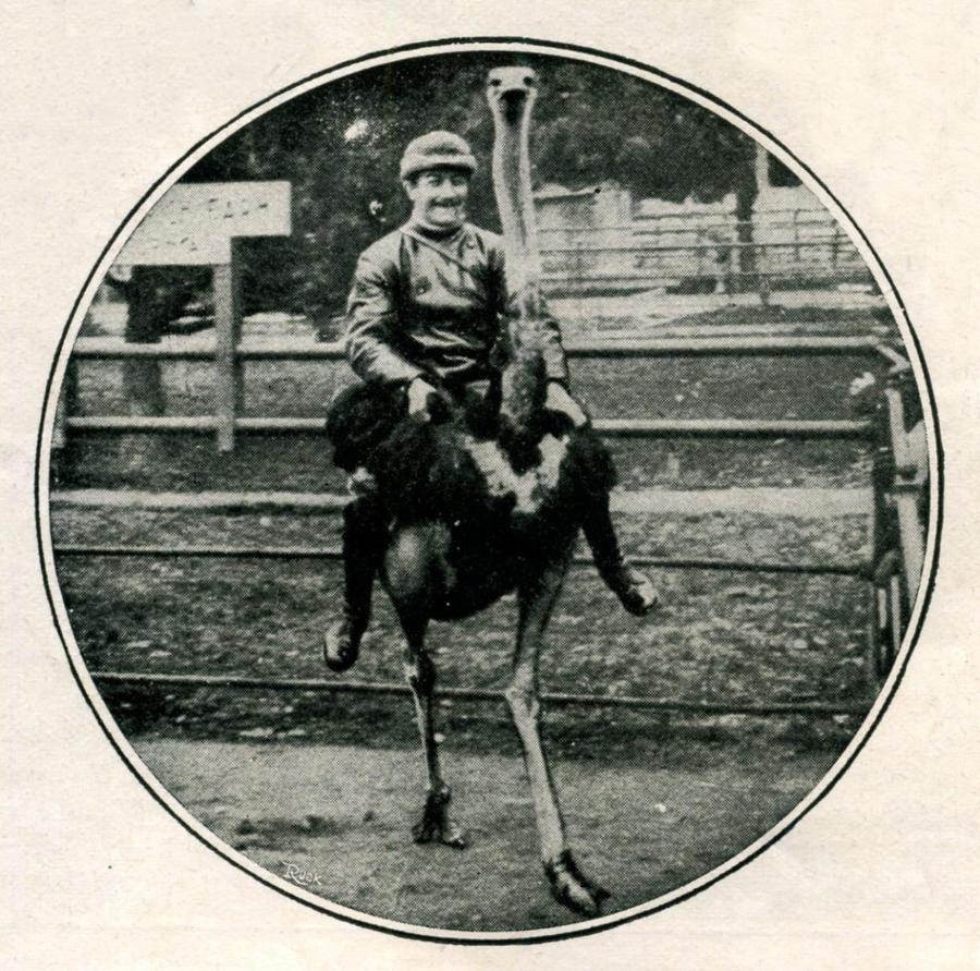 Легенды авиаторов. Исторические рассказы - _84.jpg