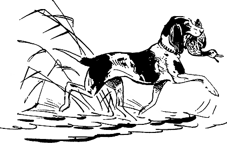 Дружище Тобик (сборник) - i_005.png