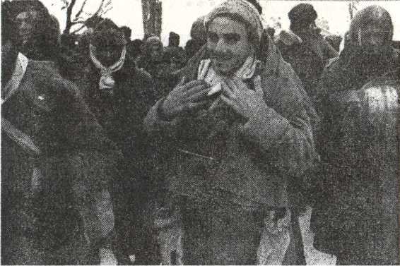 Танковый удар<br />Советские танки в боях. 1942—1943 - i_029.jpg