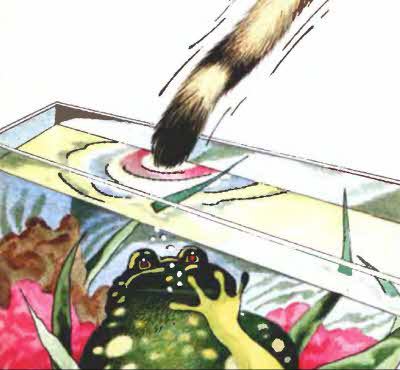 Клуб любителей фантастики, 2003 - i_015.jpg