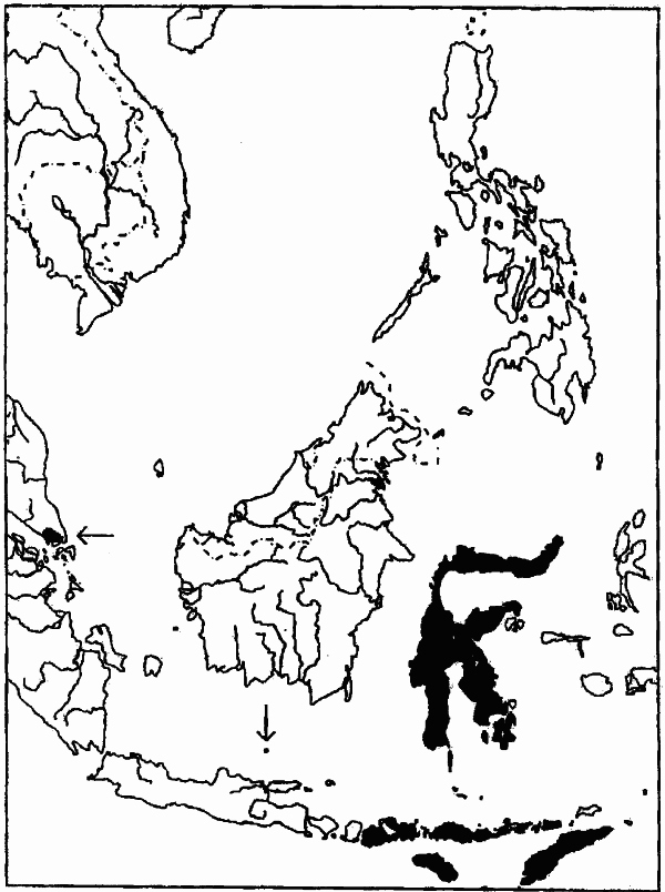 Малый желтохохлый какаду - i_003.png