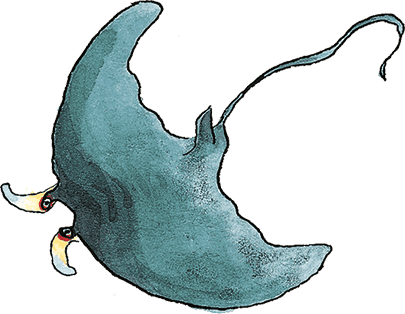 Свинья для пиратов - i_002.png