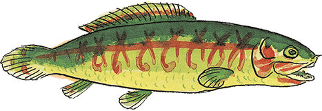 Свинья для пиратов - i_012.png