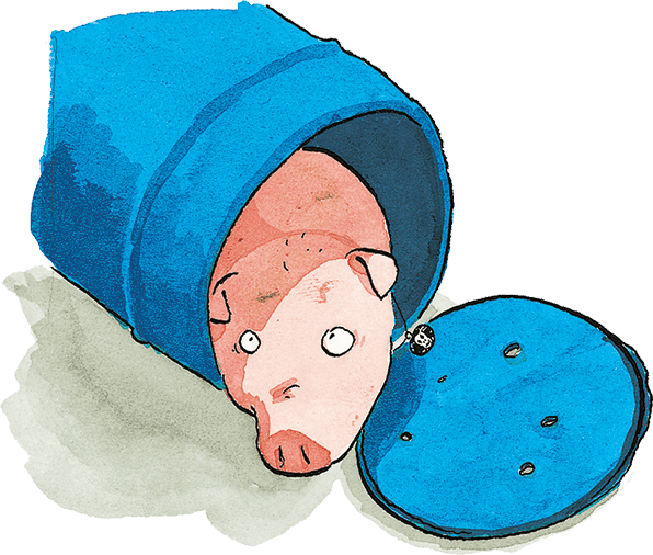 Свинья для пиратов - i_016.png