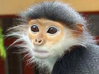 Aleja Samobójców - pic_4.jpg