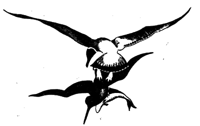 Всемирный следопыт, 1928 № 07 - i_030.png