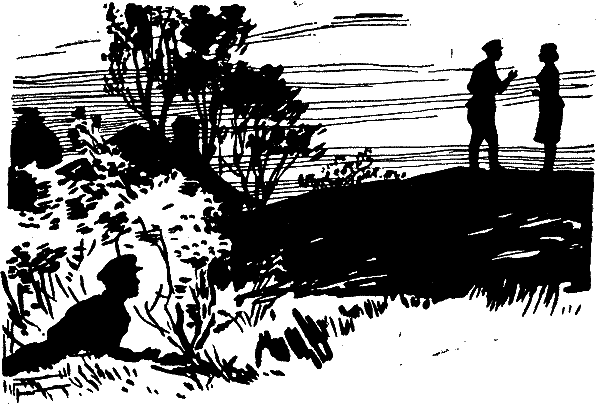 Золотые коронки - i_010.png