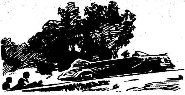 Золотые коронки - i_017.png