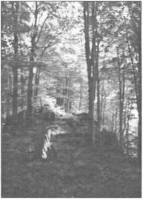 Знаки карпатської магії - _64.jpg