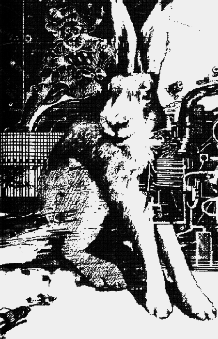 Дзвони зеленої Галактики - i_017.png