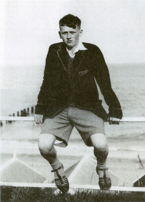 Дневники Фаулз - i_003.jpg