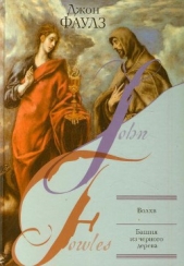 Туча - автор Фаулз Джон Роберт 