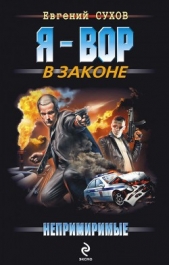 Непримиримые - автор Сухов Евгений 