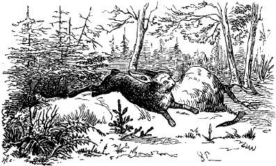 Великие сказочники - i_091.jpg