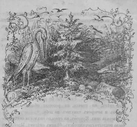 Елка - i_002.jpg