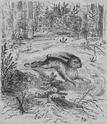 Елка - i_004.jpg