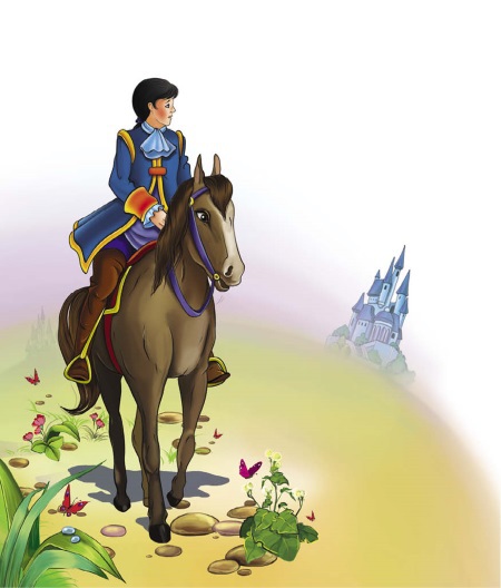 Маленькой принцессе. Волшебные сказки для девочек - i_062.jpg