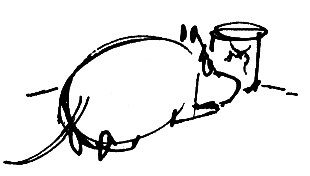 Подарок тролля - i_020.png