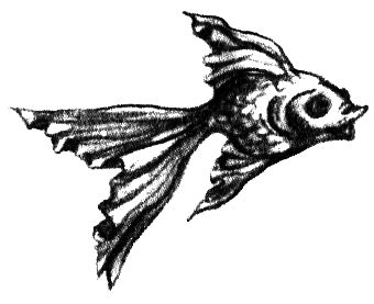 Подарок тролля - i_050.png