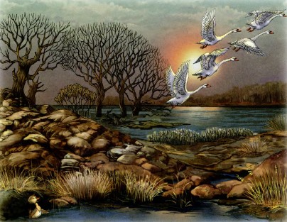 Самые красивые сказки - i_041.jpg