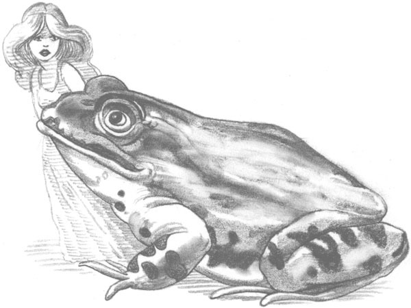 Сказки Г.-Х. Андерсена - _26.jpg