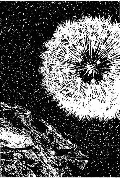 Кн. 7. Рассказы - i_005.jpg