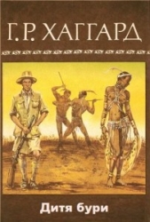 Дитя бури - автор Хаггард Генри Райдер 