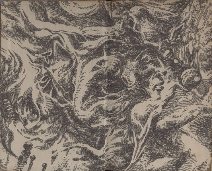 Единственное решение (сборник) - i_009.jpg