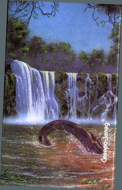 Единственное решение (сборник) - i_010.jpg