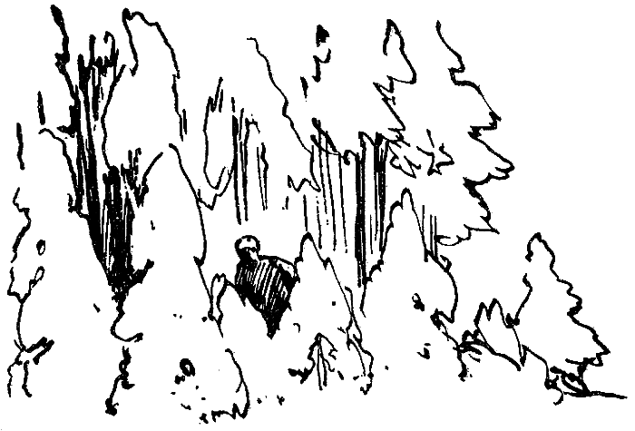 Искатель. 1975. Выпуск №6 - i_011.png