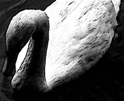 Photoshop CS4 - _332.jpg