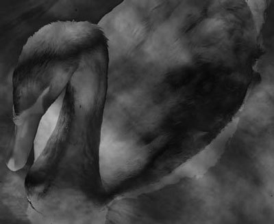 Photoshop CS4 - _358.jpg