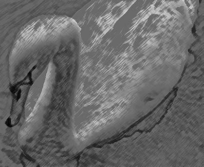 Photoshop CS4 - _302.jpg