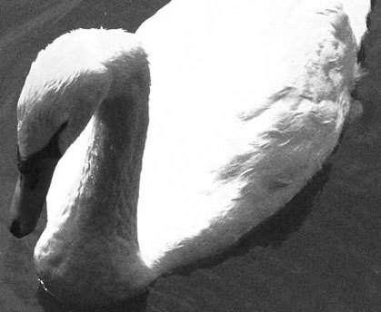 Photoshop CS4 - _305.jpg