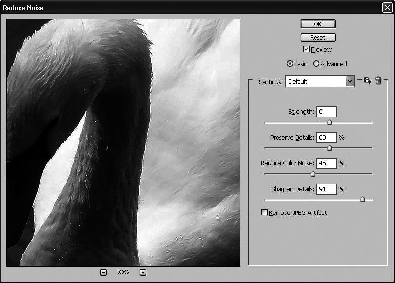 Photoshop CS4 - _349.jpg