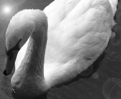 Photoshop CS4 - _360.jpg